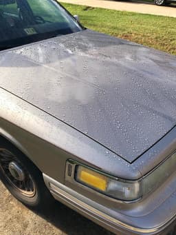 Photo by Omar Ibrahim 5